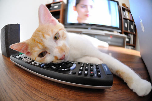 OG·阿努诺比在NBA常规赛中表现亮眼，og阿奴诺比集锦